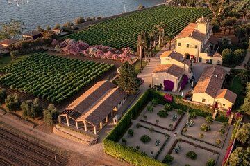 Vineyards, Napoleon and Charming Villages from Elba Cruise Port