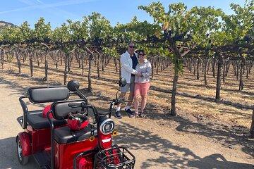 Kenwood Wine Country Electric Trike 3 Hours Tour