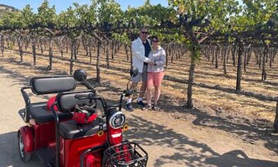 Kenwood Wine Country Electric Trike 3 Hours Tour