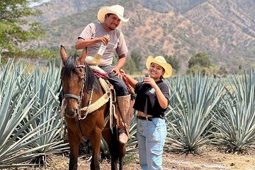 The Premium Tequila route