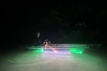 1.5-Hour LED Illuminated Clear Kayak Night Adventure Tour