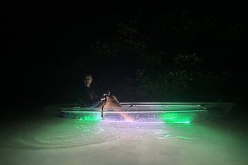 1.5-Hour LED Illuminated Clear Kayak Night Adventure Tour