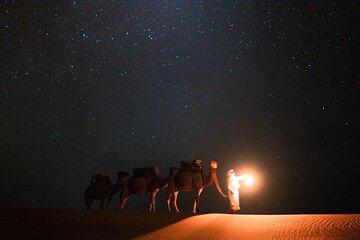 Qatar Night Desert Safari Dune Driving and Sandboarding