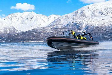From Tromso Arctic Whale Watching Full Day Tour
