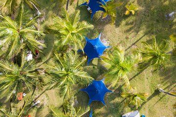 Earth island Bomba Pasadía Palmarito