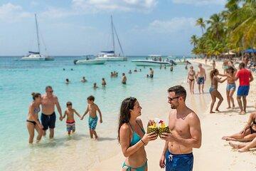 Saona Island Full Day Adventure with Lunch from Punta Cana