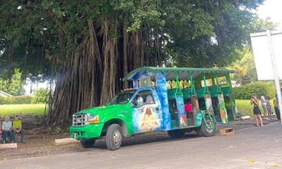 Roseau Dominica Safari Scenic: Rainforest, Falls & Karaoke