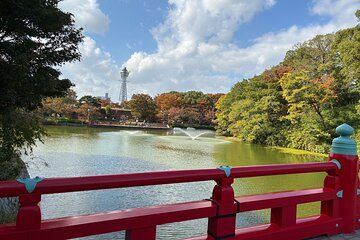Cultural Retreat in Osaka with Temple Healing and Onigiri Making