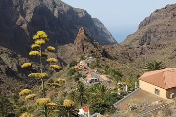 Private Tour Tenerife in Masca, Los Gigantes and Natural Pools