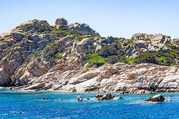 Punta Arenas Private Shore Tour: Magdalena Island Adventure