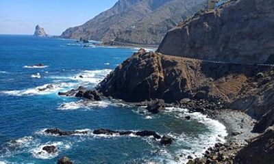 PRIVATE TOUR TENERIFE: Anaga forest, La Laguna & Las Teresitas