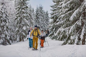 Private Snowshoe Tour in Winter Wonderland