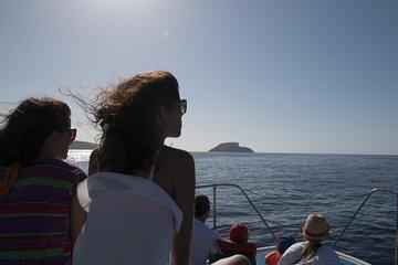 Terceira Island: Whale Watching + Ilhéus das Cabras + Snorkeling