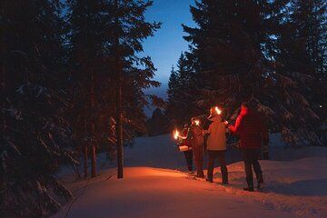 Private Winter Forest Walk & Campfire by Torchlight