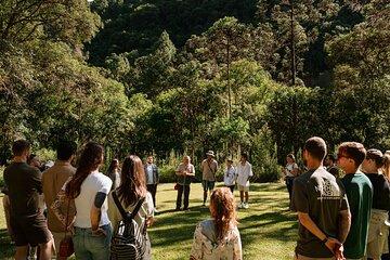 Foot of the Cascade Bate and Return 08h30
