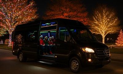 Northern Delaware Holiday Lights Tour
