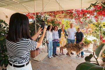 Cheese & Wine Trails - Naxos