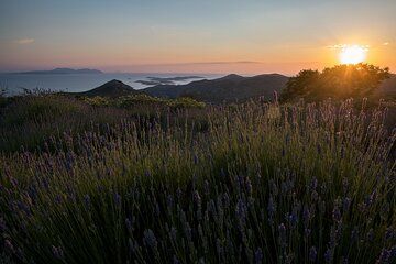 Eco Tuk Tuk Tour - Hvar hidden gems