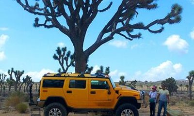 Private H2 Hummer for up to 6 in Joshua Tree National Park