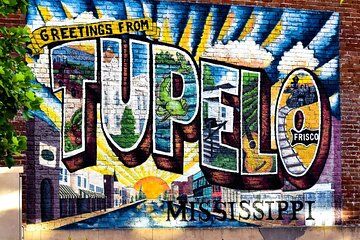 Full Day Elvis Tupelo Roots Experience from Memphis