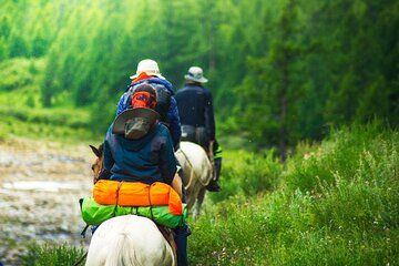 Terelj National Park Jeep & Horse Riding Day Trip from Ulaanbatar
