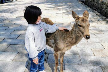 Learn Japanese while sightseeing