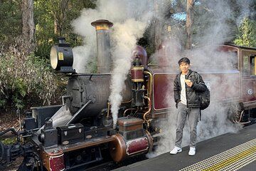 Puffing Billy Steam Train Rainforest Tour and Yarra Valley Treats