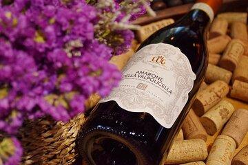 Wine Tour of Amarone della Valpolicella