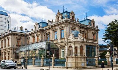 Punta Arenas Heritage & Discovery Private Shore Tour