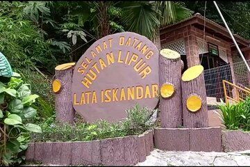 Cameron Highland Day Trip from Kuala lumpur