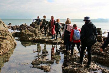Howth Safari Hiking Tour - PRIVATE