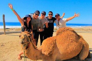 Tangier Day Trip from Casablanca to Tangier High Speed Train