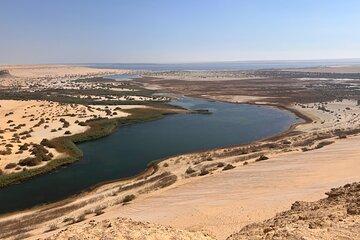 Full Day Fayoum Oasis Wadi El Rayan Waterfall and Magic Lake Tour