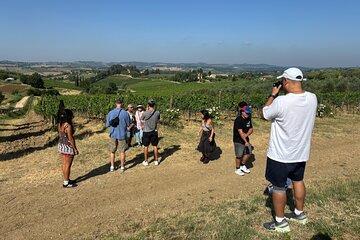 Private Tour of San Gmignano and Lunch with Wine Tasting DA Florence