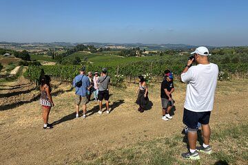Private Tour of San Gmignano and Lunch with Wine Tasting DA Florence