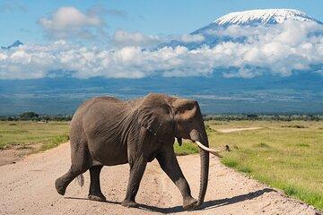 Amboseli, Tsavo Drop Coast 4x4 4 nights