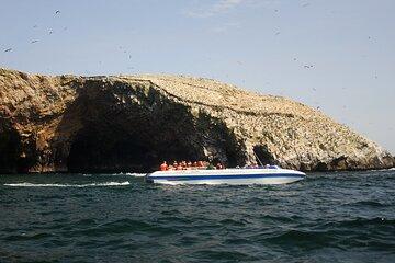 Paracas Ballestas Huacachina and Pisco Tour from Lima