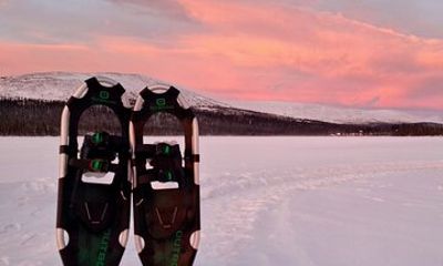 Reindeer Farm Visit and Snowshoe Adventure in wilderness Raattama