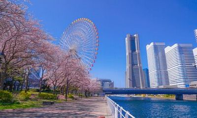 Innovation & Culture of Yokohama – 5h Private Shore Tour