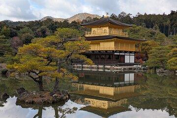 Kyoto Private Tour – Nationally Licensed Guide & Private Car
