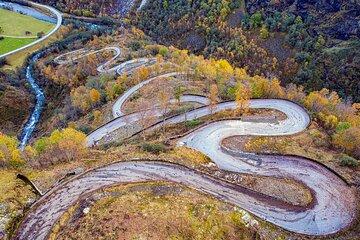 Bergen : Flåm Fjord Cruise, Nature Walk & Cheese Village Tour