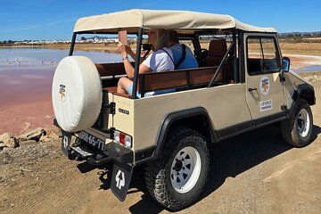 Ria Formosa & Gastronomy