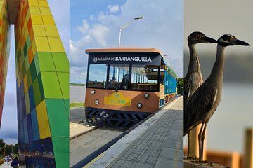 Discover Barranquilla Culture Nature and Beach