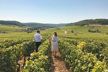 Private full day gourmet & wine tour : Burgundy Delights