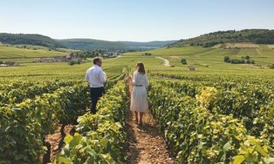 Private full day gourmet & wine tour : Burgundy Delights