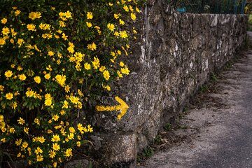 Women on the Road Guided Women’s Journey from the Invicta