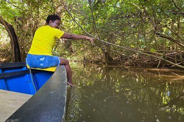 Dominica Northern Treasures