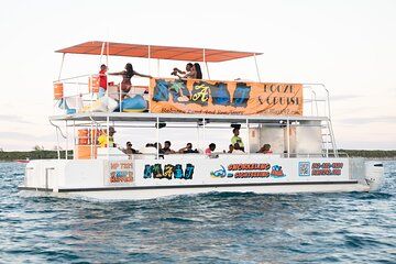 Adults Only Booze and Cruise Swimming Pigs Snorkeling Sightseeing