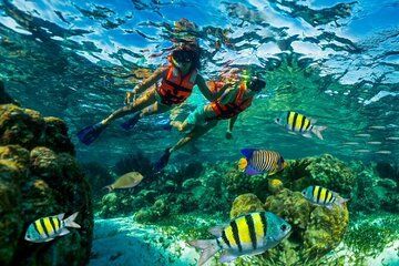 Roatan Private Guide with Snorkel, Beach Break,Chocolate Tasting