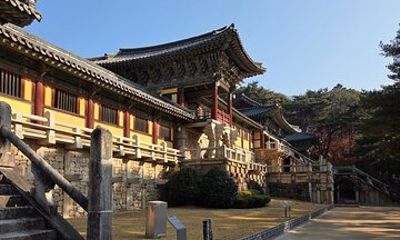 The Heart of Gyeongju: 4-Hour Private Tour with a Local guide